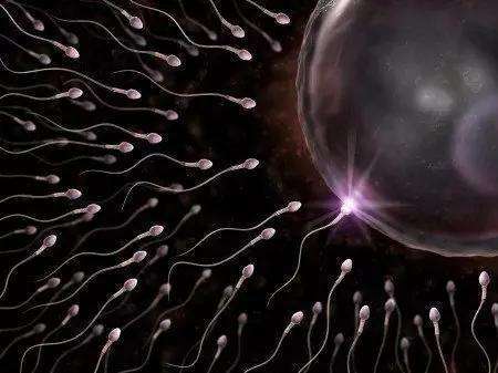 做试管婴儿精子达到多少才能做？