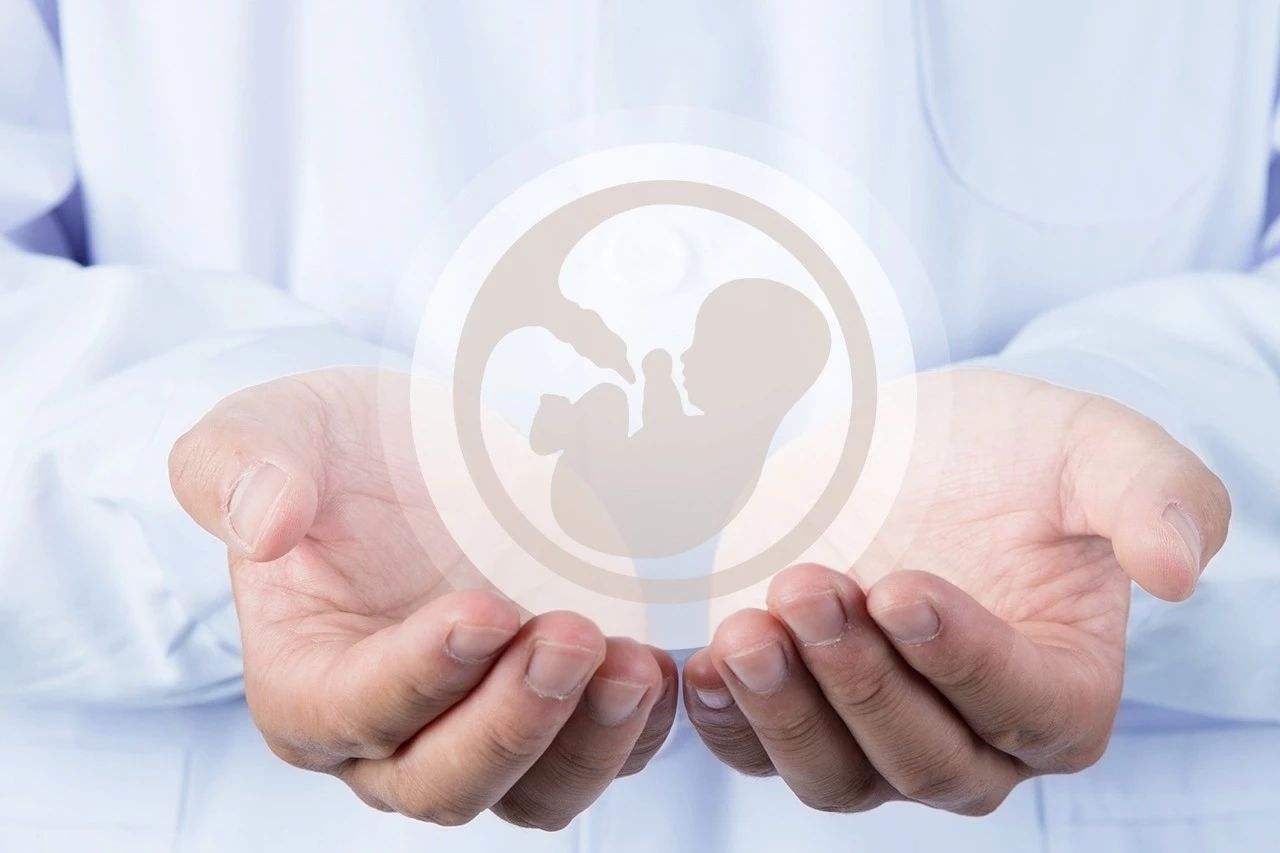 试管婴儿是泰国政府十分重视的一个科研项目