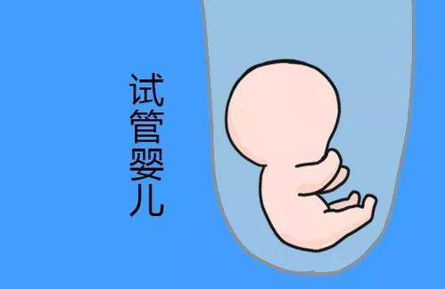 泰国试管婴儿可以生小王子吗?