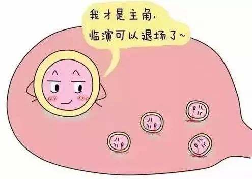 在促排卵环节，卵泡发育到什么程度，才能更好的奠定好孕基础？