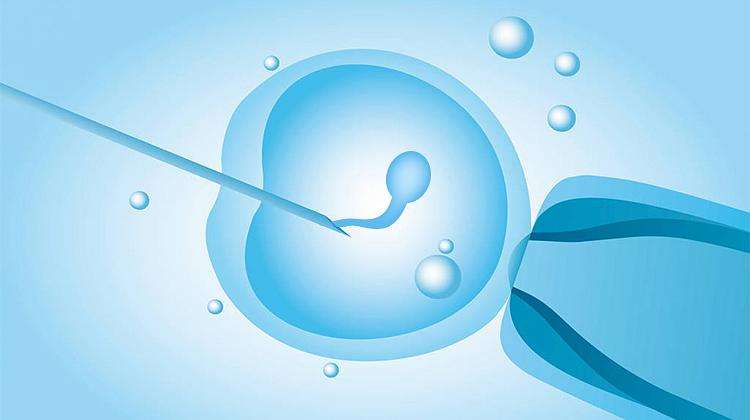 做试管婴儿移植前，拥有健康的体质是保证胚胎成功着床的前提