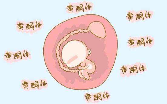 在体外受精怀孕过程中，由于药物诱导排卵会影响妇女体内孕酮水平