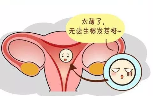 子宫内膜薄对泰国试管婴儿治疗的影响