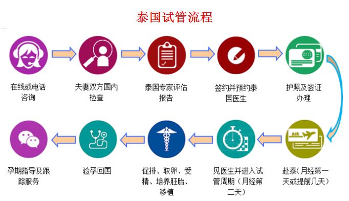 国试管移植的具体流程。