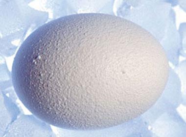 泰国试管婴儿冻卵的流程。