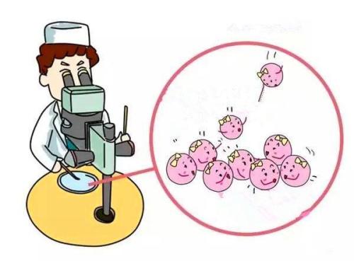 取卵后大家需要注意以下几件事: