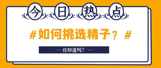 人工授精与试管婴儿的区别-泰国试管婴儿知识