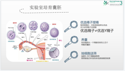 影响试管婴儿成功率和以下几种因素